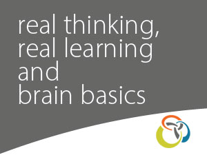 Workshop_BrainBasics